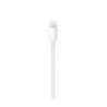 Compatible Apple USB-C TO Lightning Cabel